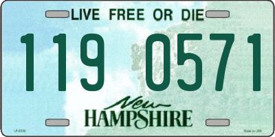 NH license plate 1190571