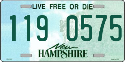 NH license plate 1190575