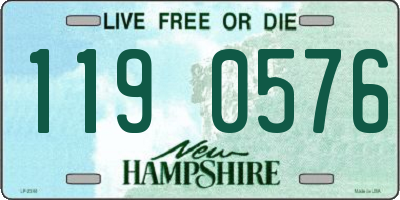 NH license plate 1190576