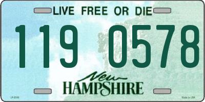 NH license plate 1190578
