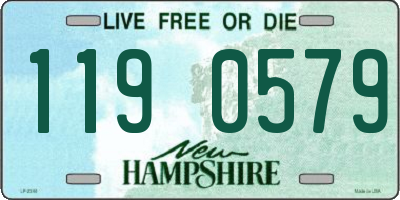 NH license plate 1190579