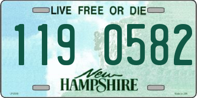 NH license plate 1190582