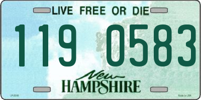 NH license plate 1190583