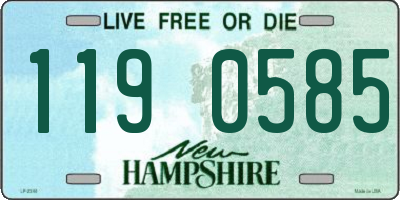 NH license plate 1190585