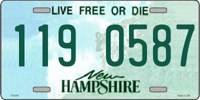 NH license plate 1190587