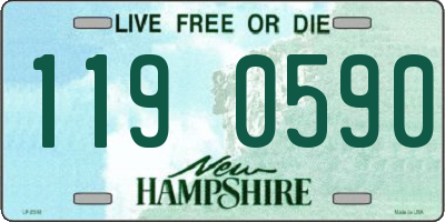 NH license plate 1190590