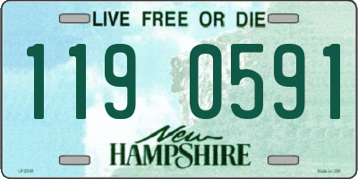 NH license plate 1190591