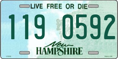 NH license plate 1190592