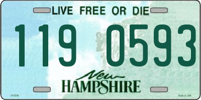 NH license plate 1190593