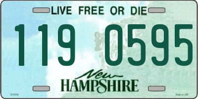 NH license plate 1190595