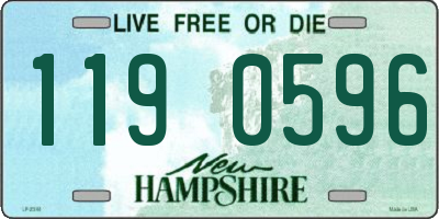 NH license plate 1190596