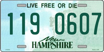 NH license plate 1190607