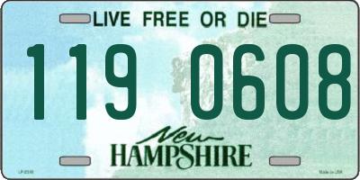 NH license plate 1190608