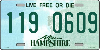 NH license plate 1190609