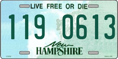 NH license plate 1190613