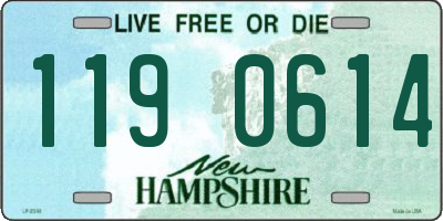 NH license plate 1190614