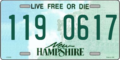 NH license plate 1190617