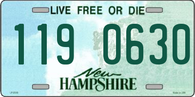NH license plate 1190630