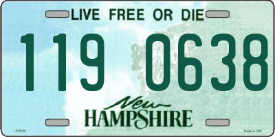 NH license plate 1190638