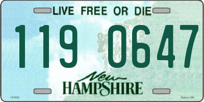NH license plate 1190647