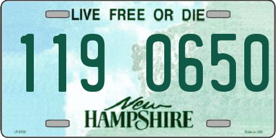 NH license plate 1190650