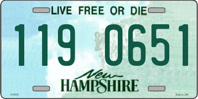 NH license plate 1190651