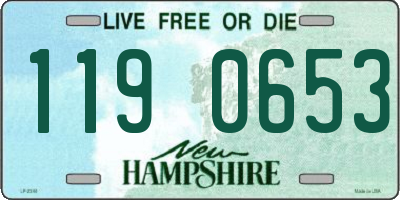 NH license plate 1190653