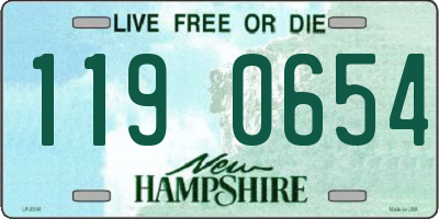 NH license plate 1190654