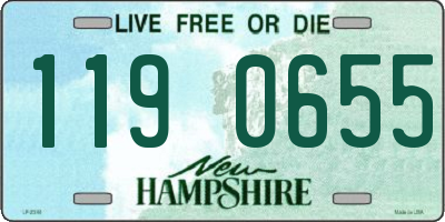 NH license plate 1190655