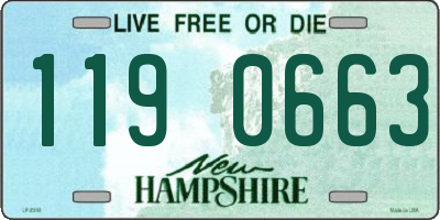 NH license plate 1190663
