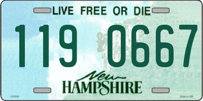NH license plate 1190667