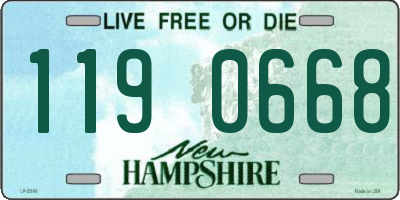 NH license plate 1190668