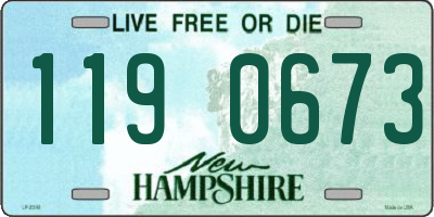 NH license plate 1190673