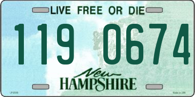 NH license plate 1190674