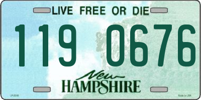 NH license plate 1190676