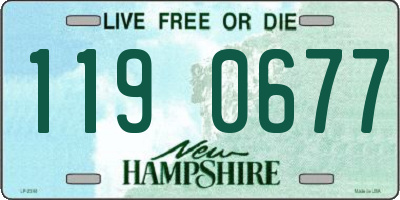 NH license plate 1190677