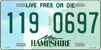 NH license plate 1190697