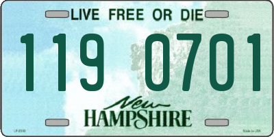 NH license plate 1190701
