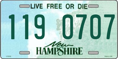 NH license plate 1190707