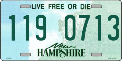 NH license plate 1190713