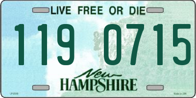 NH license plate 1190715