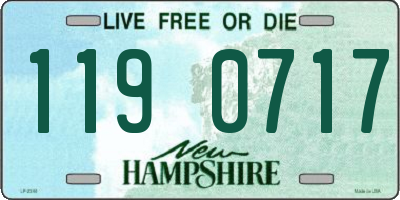 NH license plate 1190717