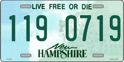 NH license plate 1190719