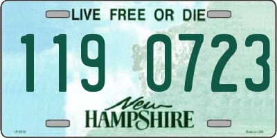 NH license plate 1190723