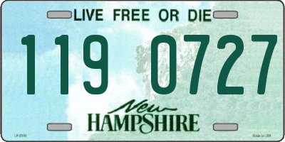 NH license plate 1190727