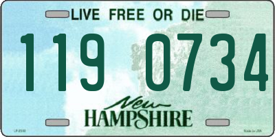 NH license plate 1190734