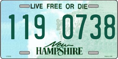 NH license plate 1190738