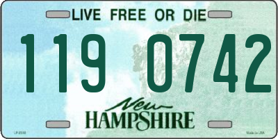NH license plate 1190742