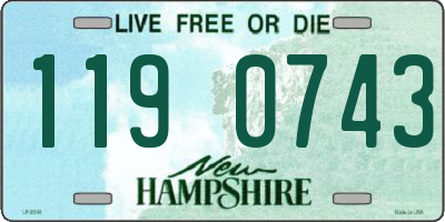 NH license plate 1190743