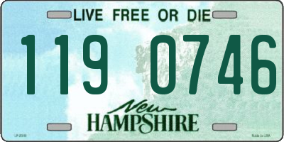 NH license plate 1190746